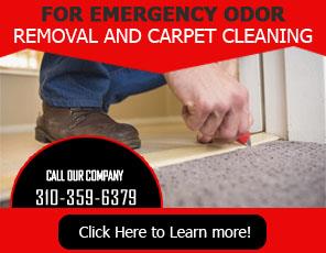 Odor Removal - Carpet Cleaning Marina del Rey, CA